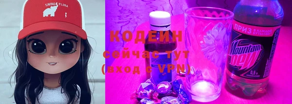 трава Белокуриха