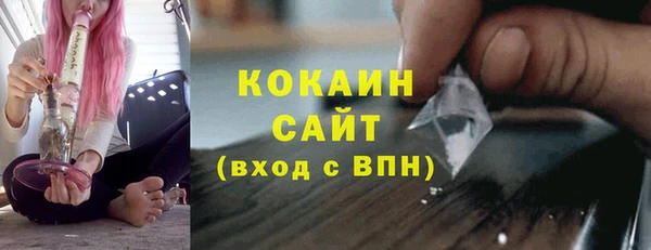 трава Белокуриха
