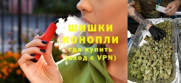 трава Белокуриха