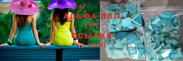 трава Белокуриха