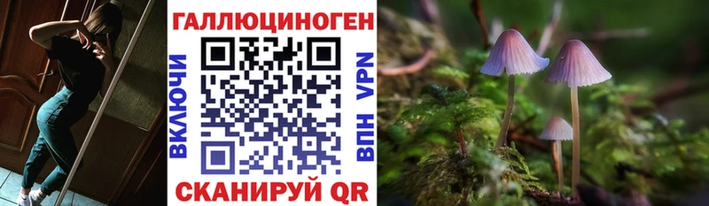 МЕГА tor  Уссурийск  Галлюциногенные грибы прущие грибы 